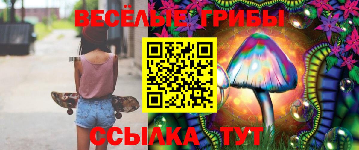 Галлюциногенные грибы Cubensis Березники